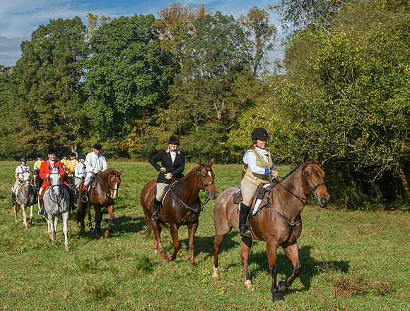 Shakerag_10-24-2020_328603