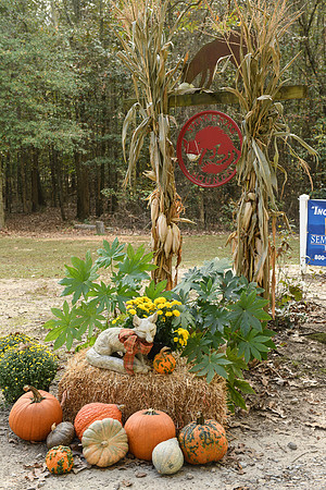Shakerag_10-24-2020_328736