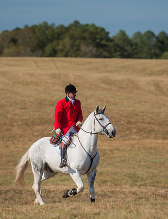 Belle Meade_228014_11-5-2016
