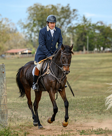 Belle Meade_20241102_422189