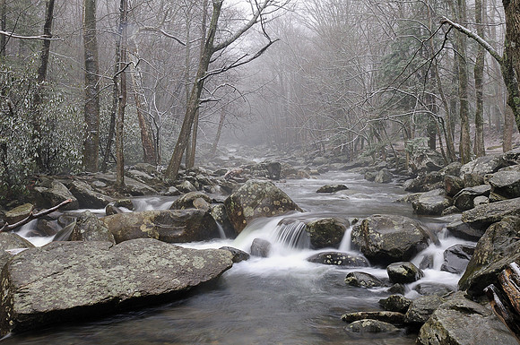Winter Stream