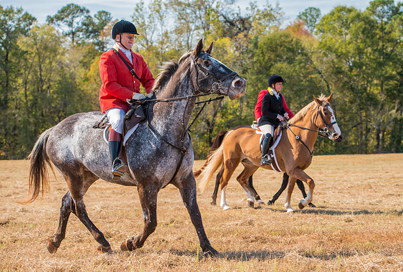 Belle Meade_228137_11-5-2016