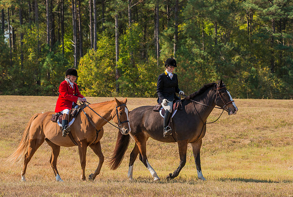Belle Meade_228075_11-5-2016