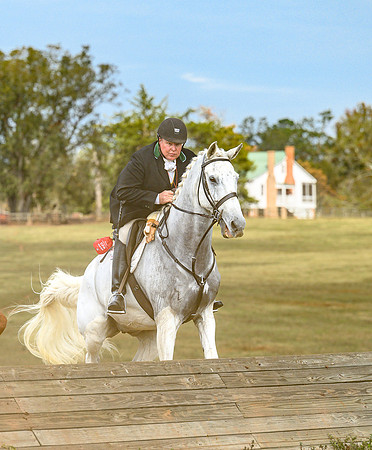 Belle Meade_20241102_422137