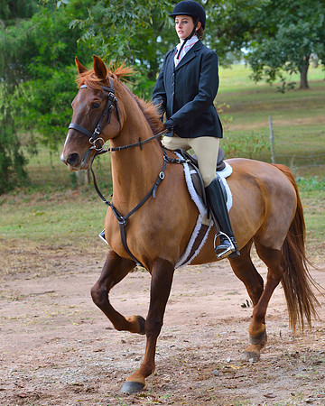 Belle Meade Opening Hunt 2014