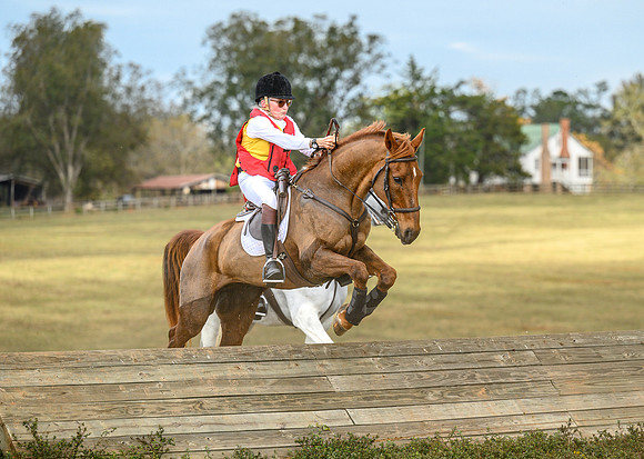 Belle Meade_20241102_422083