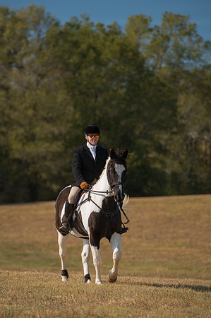 Belle Meade_227951_11-5-2016