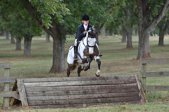 Belle Meade Opening Hunt 2014
