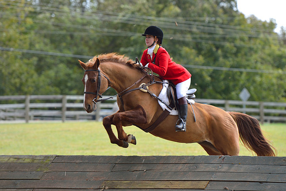 Belle Meade Opening Hunt 2014