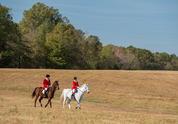 Belle Meade_227957_11-5-2016