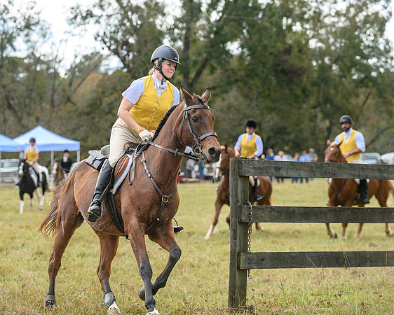 Belle Meade_20241102_421952