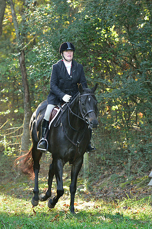 Shakerag Opening Hunt 2014