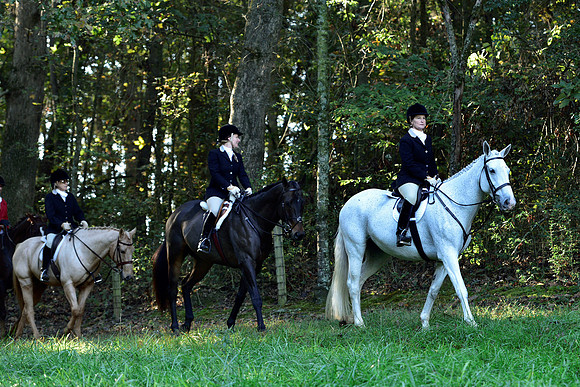 Shakerag Opening Hunt 2014