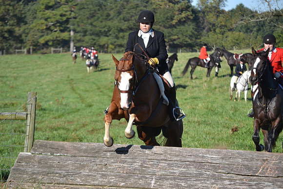 Shakerag Opening Hunt 2014