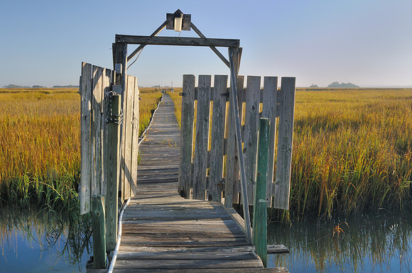 Dock in the Marsh