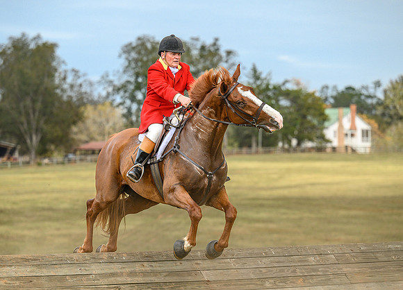 Belle Meade_20241102_422099