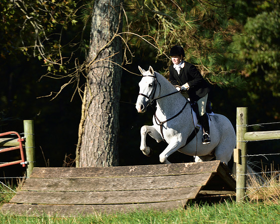 Shakerag Opening Hunt 2014