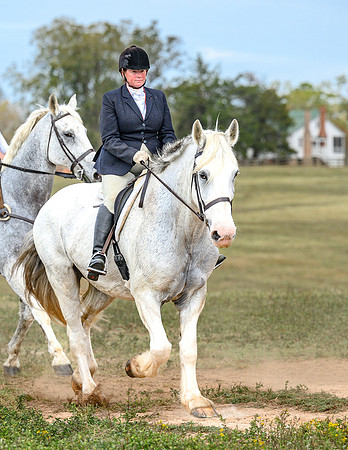 Belle Meade_20241102_422199