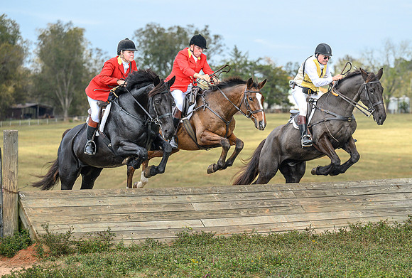 Belle Meade_20241102_422074