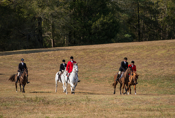 Belle Meade_228010_11-5-2016