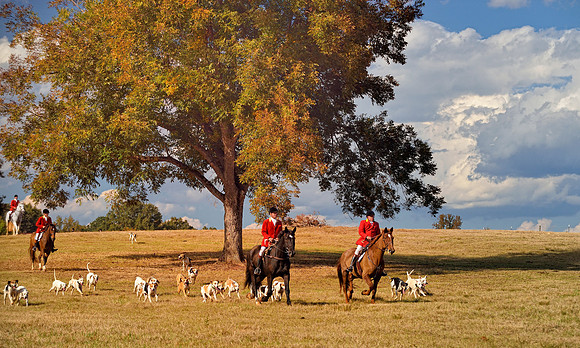 Belle Meade Fox Hunt - Opening Meet 2013