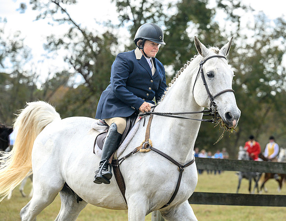 Belle Meade_20241102_422001
