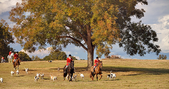 Belle Meade Fox Hunt - Opening Meet 2013