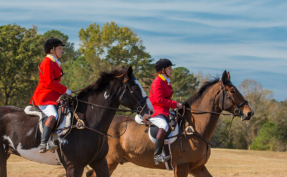 Belle Meade_228123_11-5-2016