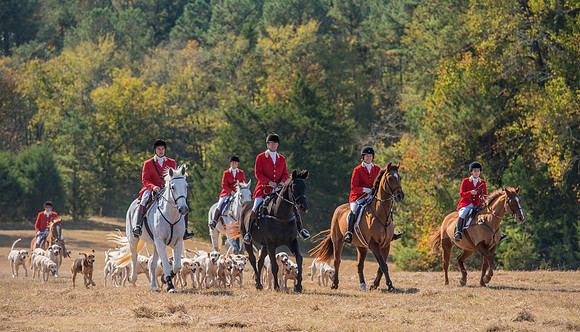 Belle Meade_228102_11-5-2016