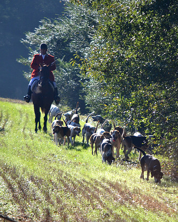 Shakerag Opening Hunt 2014