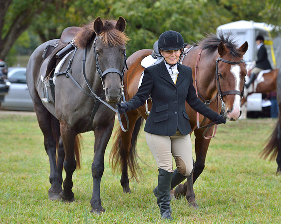 Belle Meade Opening Hunt 2014