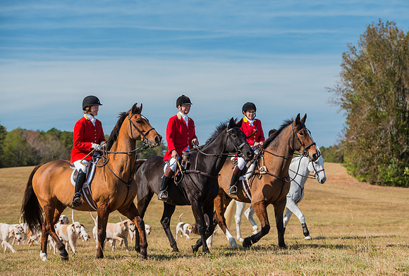 Belle Meade_228039_11-5-2016