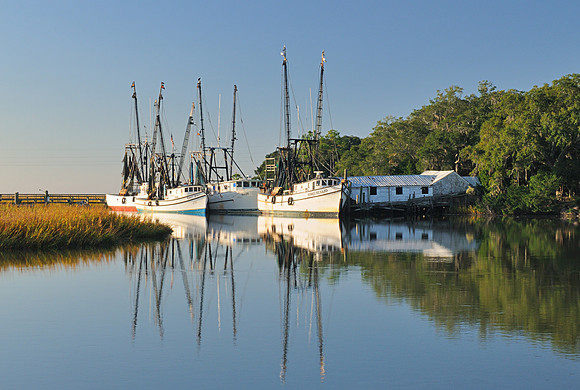 Shrimp Boats