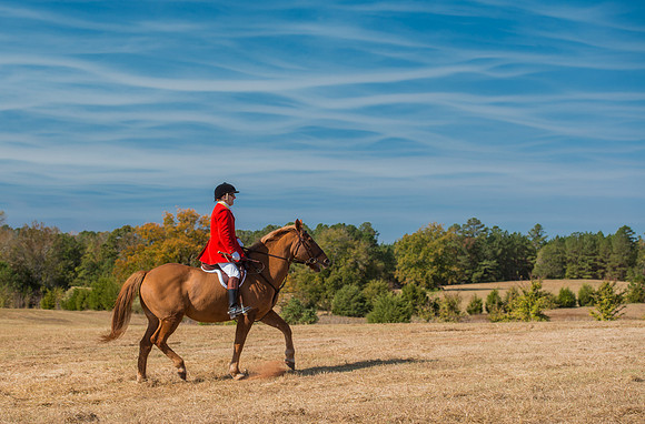Belle Meade_228126_11-5-2016