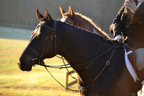 Shakerag Opening Hunt 2014
