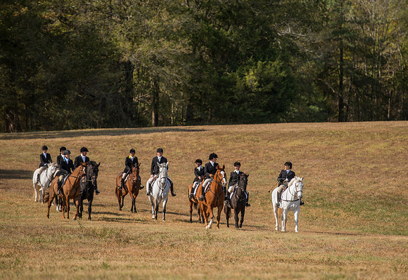 Belle Meade_227961_11-5-2016