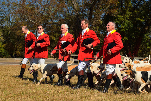 Belle Meade Fox Hunt - Opening Meet 2013