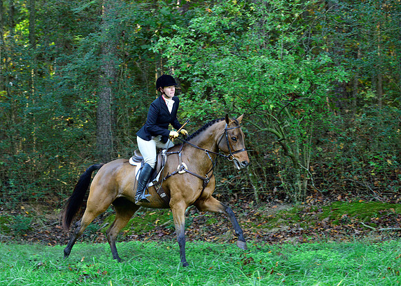 Shakerag Opening Hunt 2014