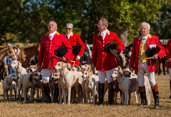 Belle Meade_228182_11-5-2016