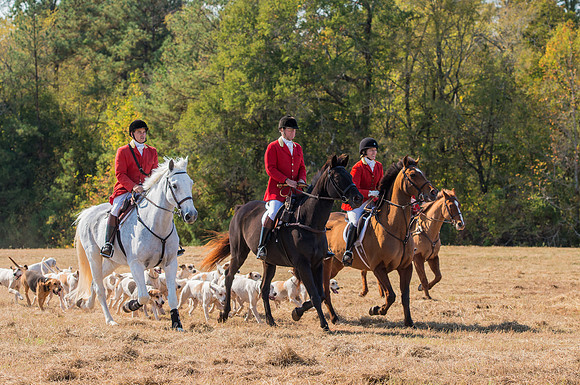 Belle Meade_228106_11-5-2016