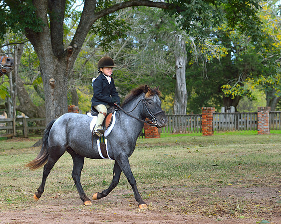 Belle Meade Opening Hunt 2014