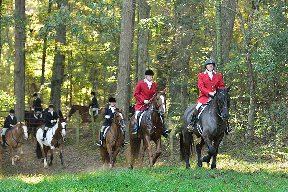 Shakerag Opening Hunt 2014