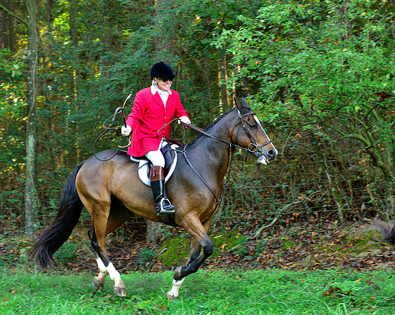 Shakerag Opening Hunt 2014