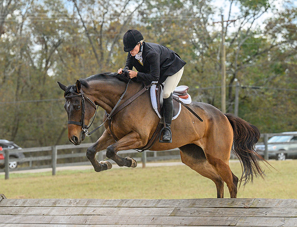 Belle Meade_20241102_421910