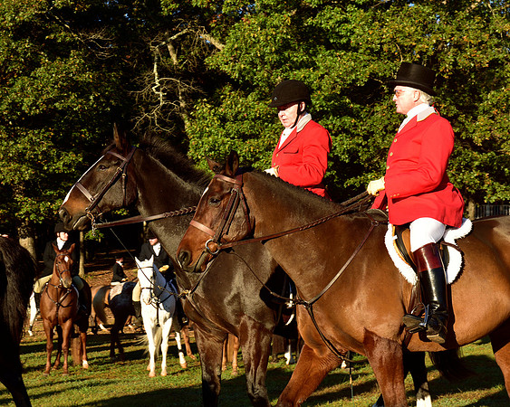 Shakerag Opening Hunt 2014