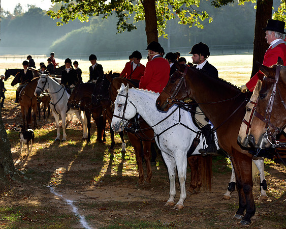 Shakerag Opening Hunt 2014
