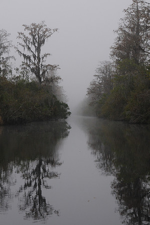 Okefenokee Suwanee Canal