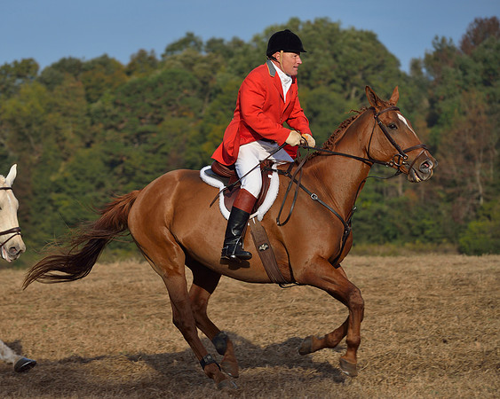 Shakerag opening Hunt 2015