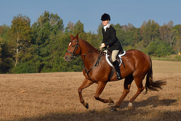 Shakerag opening Hunt 2015