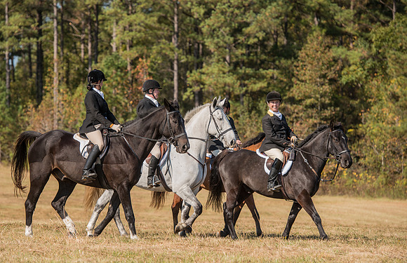 Belle Meade_227973_11-5-2016